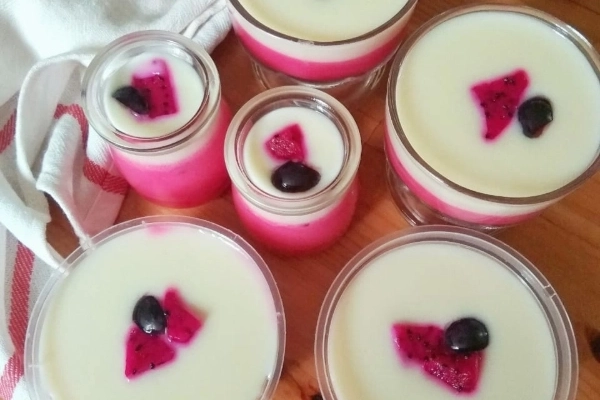 puding susu buah naga